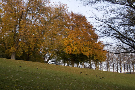 Parc de Valency...